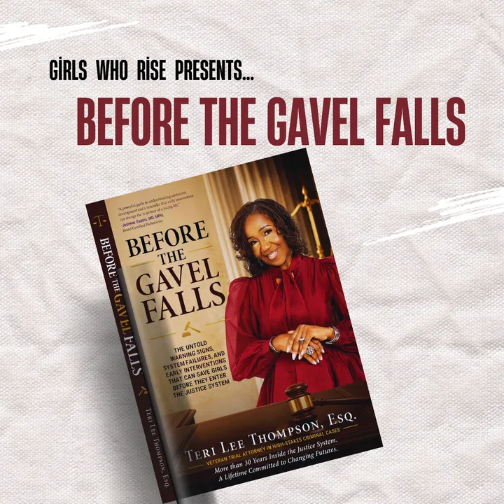 Client-supplied Before the Gavel Falls promotional artwork with Teri Lee Thompson on the book cover